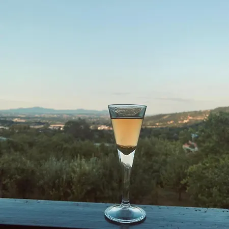 Forest Heaven Retreat With Jakuzz Čačak