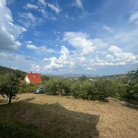 Dedovina Pakovrace * Čačak