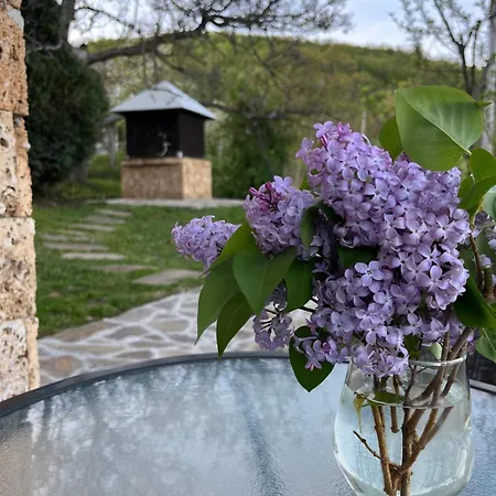 Nyaraló Dedovina Pakovrace