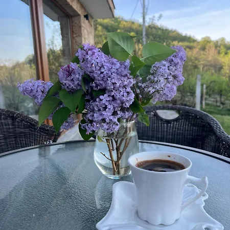 Дом отдыха Dedovina Pakovrace