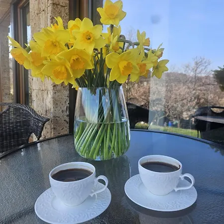 Dedovina Pakovrace *