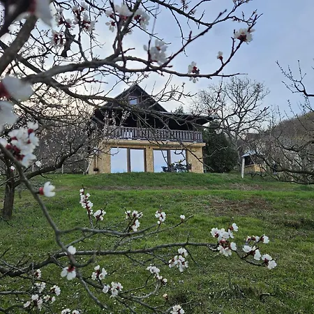 Дом отдыха Dedovina Pakovrace Чачак