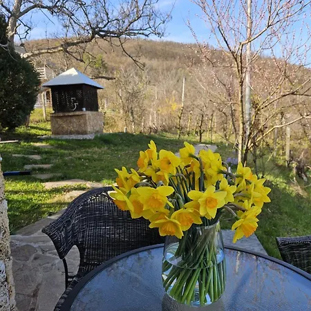 Dedovina Pakovrace Nyaraló