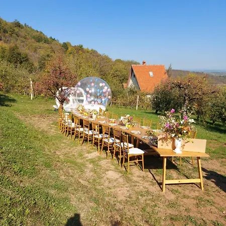 Dedovina Pakovrace Дом отдыха